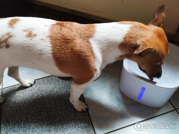 Автоматическая поилка-фонтан PetStory Pet Water Fountain фото