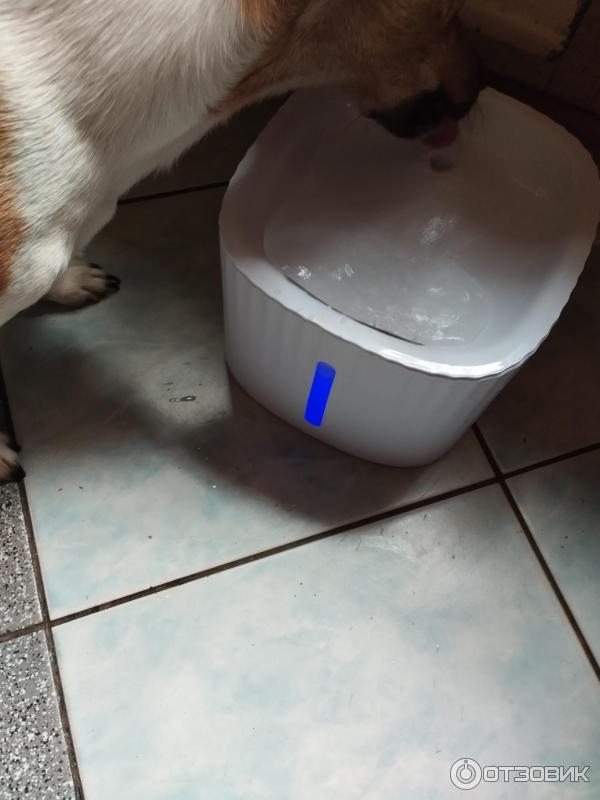 Автоматическая поилка-фонтан PetStory Pet Water Fountain фото