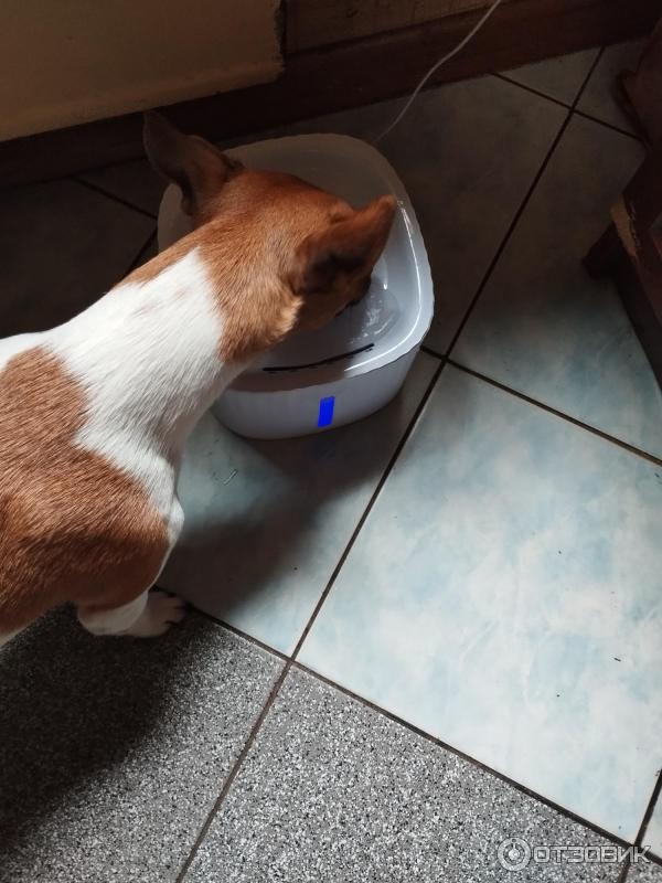 Автоматическая поилка-фонтан PetStory Pet Water Fountain фото