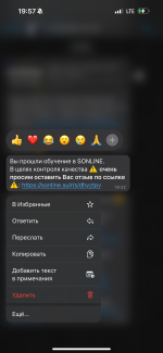 Sonline.su - программа для салона красоты фото