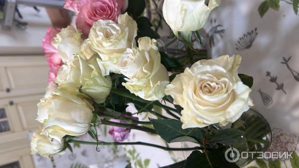 Букет гортензии и альстромерии. Букет для софии картинки. Rukkola flowers. Руккола изобильный логотип. Логотип моя укккола.