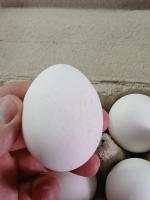 Яйца куриные "Щедрый год" фото