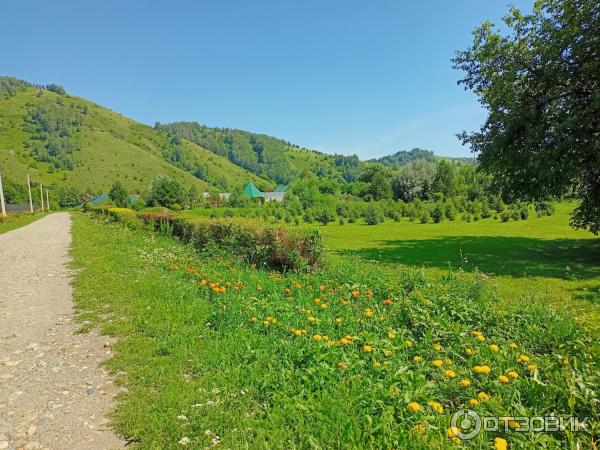 Парк Биосфера в Горно-Алтайске