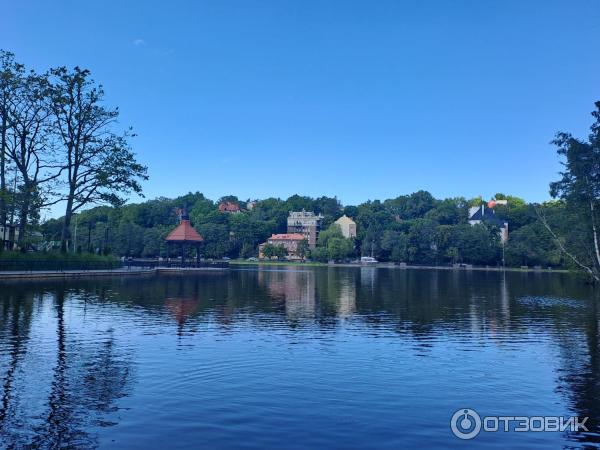 Отдых в г. Светлогорск (Россия, Калининградская область) фото