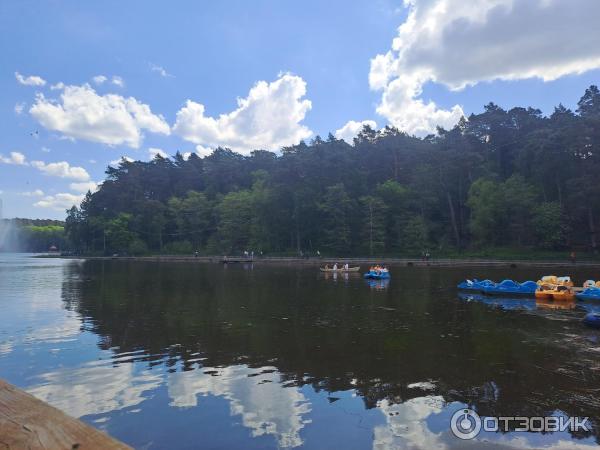 Отдых в г. Светлогорск (Россия, Калининградская область) фото