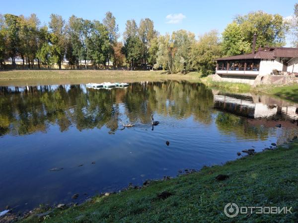 Искусство в нижегородских ресторанах