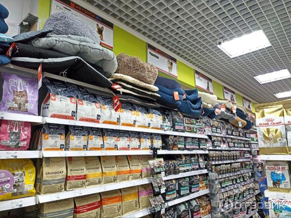 Директор по маркетингу Petshop Серж Иванов покидает компанию