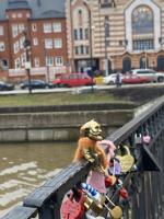 Отдых в Калининграде (Россия, Калининградская область) фото