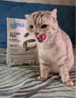 Сухой корм для кошек Alleva Holistic фото