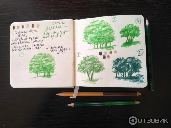 Мой рисунок. Одно из заданий экстрима 2020.