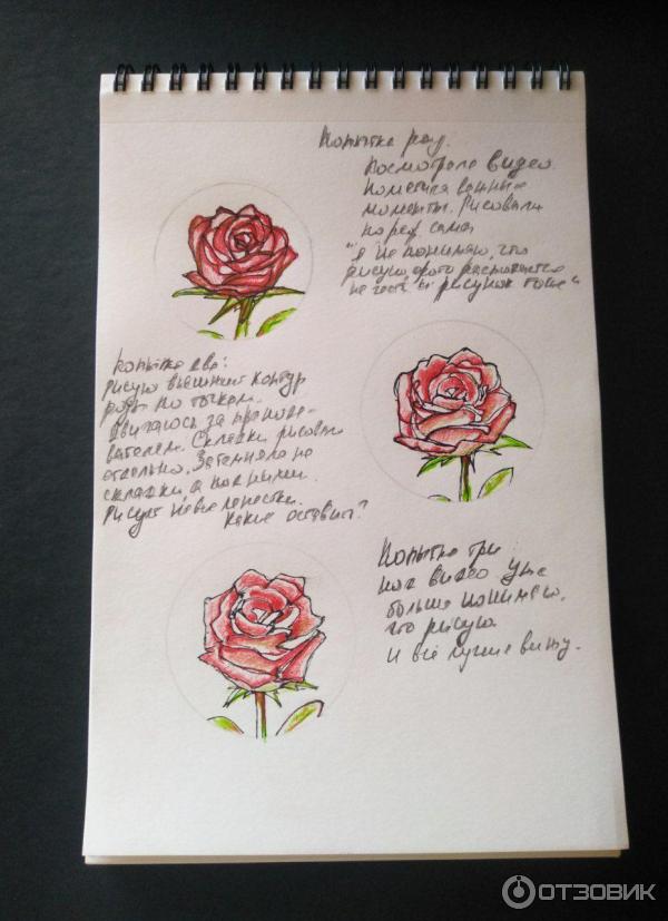 Мой рисунок карандашами по уроку экстрима 2024