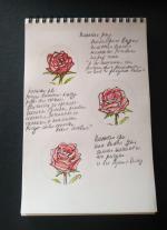 Kalachevaschool.ru - онлайн-школа рисования Вероники Калачевой фото