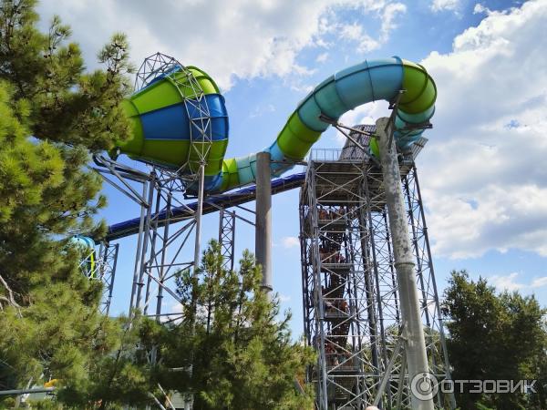 Золотая бухта 2024