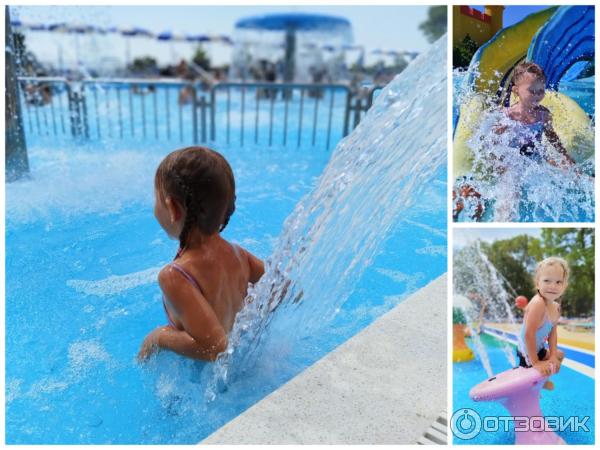 Золотая бухта 2024