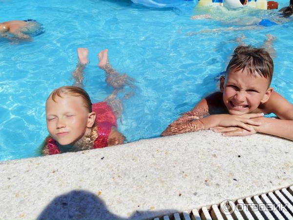 Золотая бухта 2024