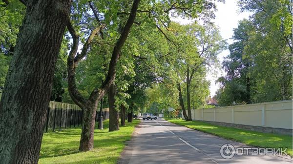 Экскурсия по Каменному острову (Россия, Санкт-Петербург)