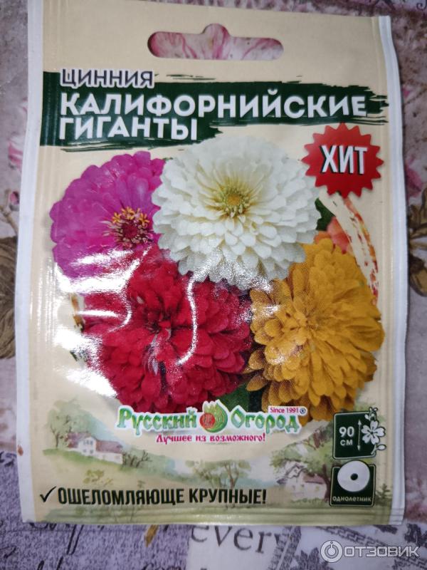 Отзыв о Семена циннии Семена НК "Калифорнийские гиганты" | Ожидания не ...