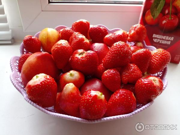 Специализированное удобрение Клубника Фаско фото