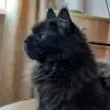 Хочузайти