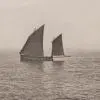 ElliGos