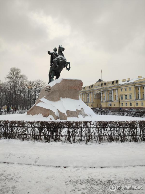 К чему видеть змей во сне женщине