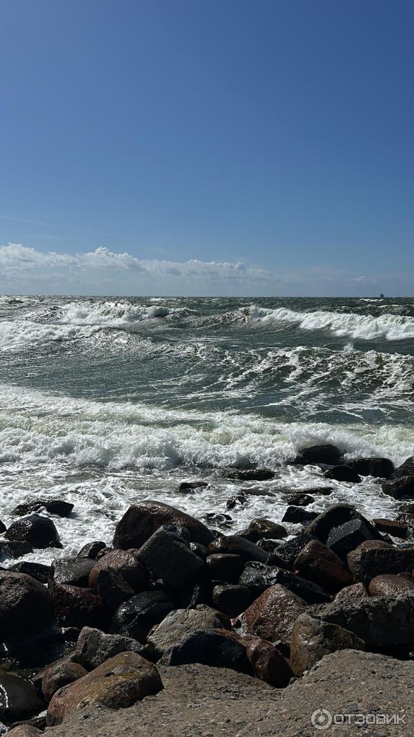 Балтийская коса (Россия, Калининградская область) фото