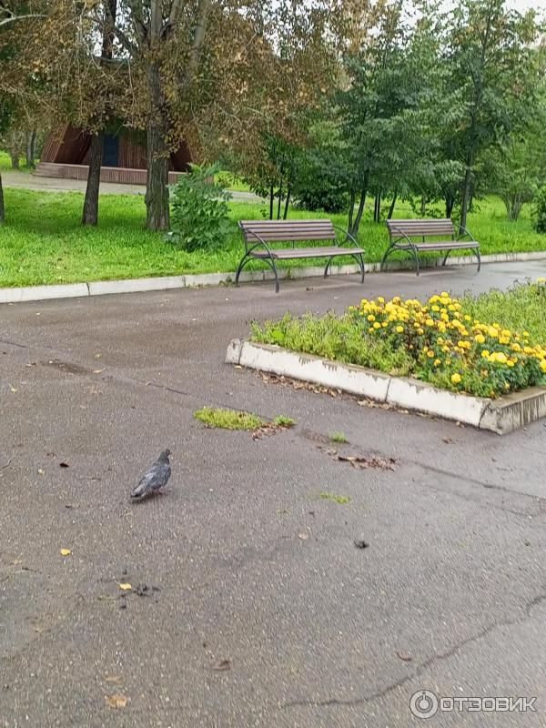 Где находится парк в красноярске