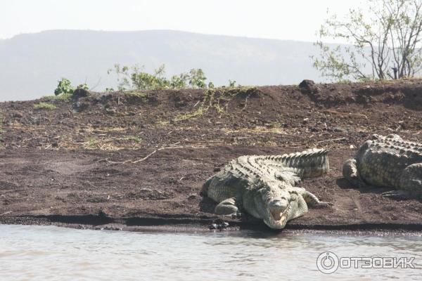 Отдых в Эфиопии фото
