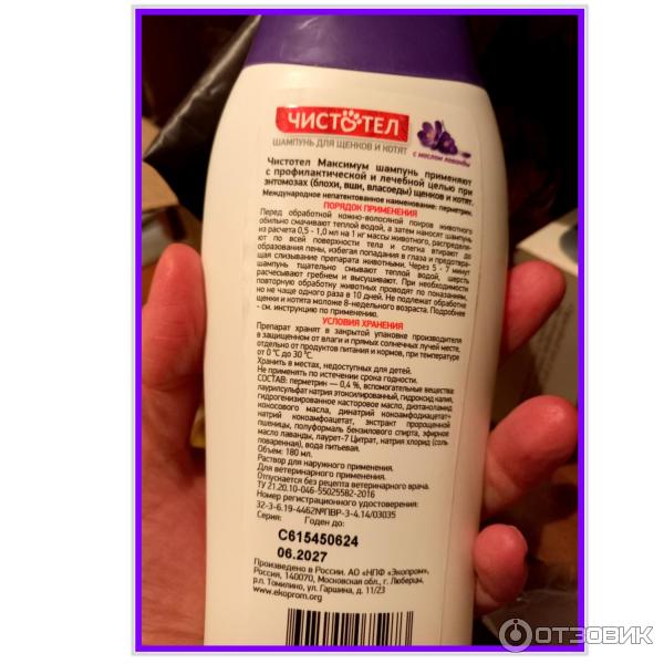Когда был котенком он был. Когда был котенком он был