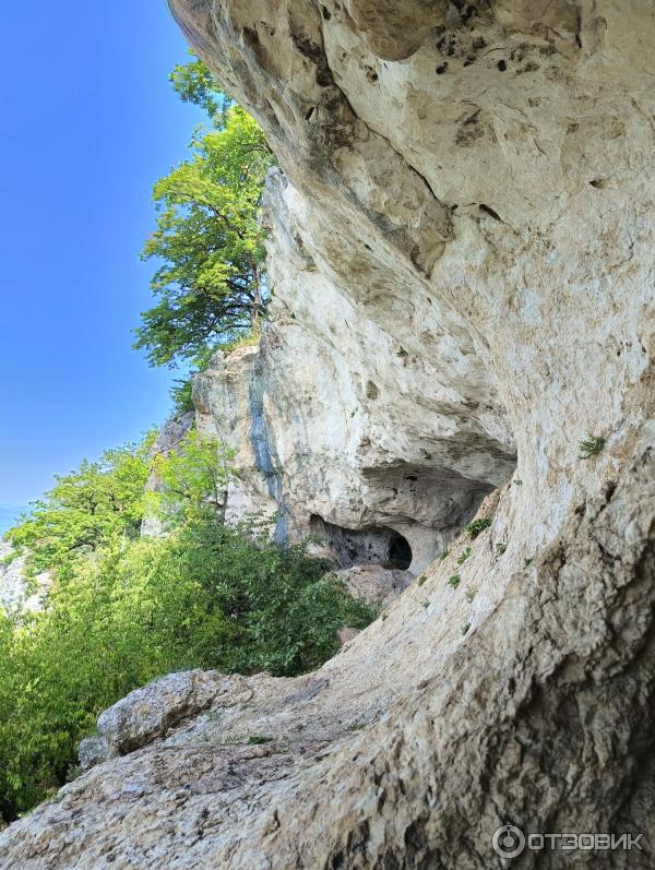 Савранская канатная дорога (Россия, ст. Даховская) фото