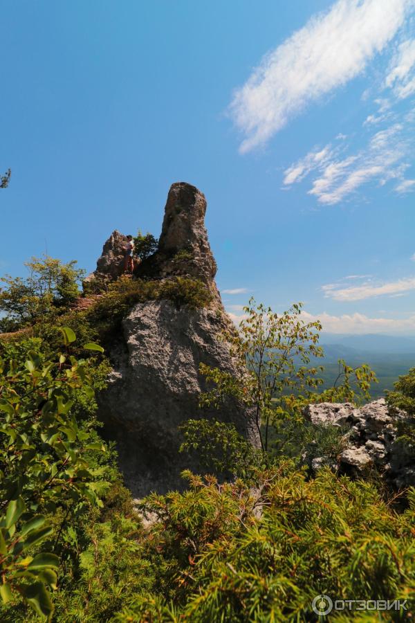 Савранская канатная дорога (Россия, ст. Даховская) фото