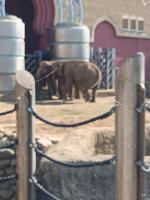 Московский Зоопарк (Россия, Москва) фото