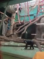 Московский Зоопарк (Россия, Москва) фото