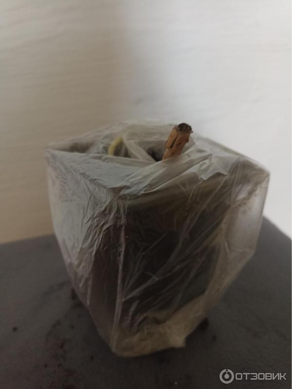 Dolina-sad.ru - интернет-магазин Долина растений фото