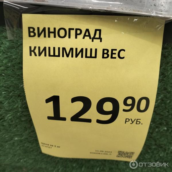 Виноград Дикси Кишмиш