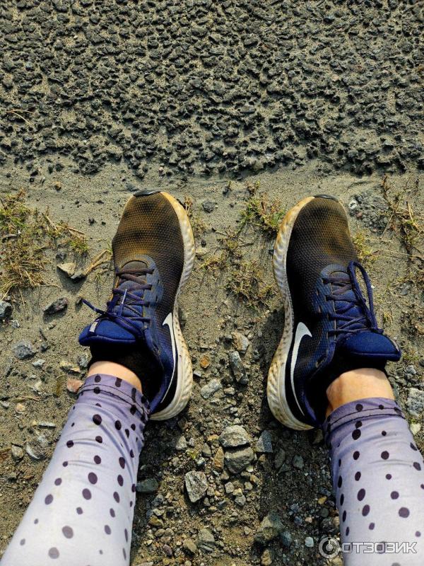 Кроссовки мужские Nike Revolution 5 фото