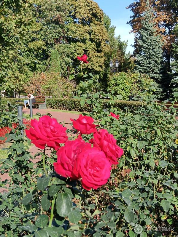 Сквер Храма Христа Спасителя (Россия, Москва)