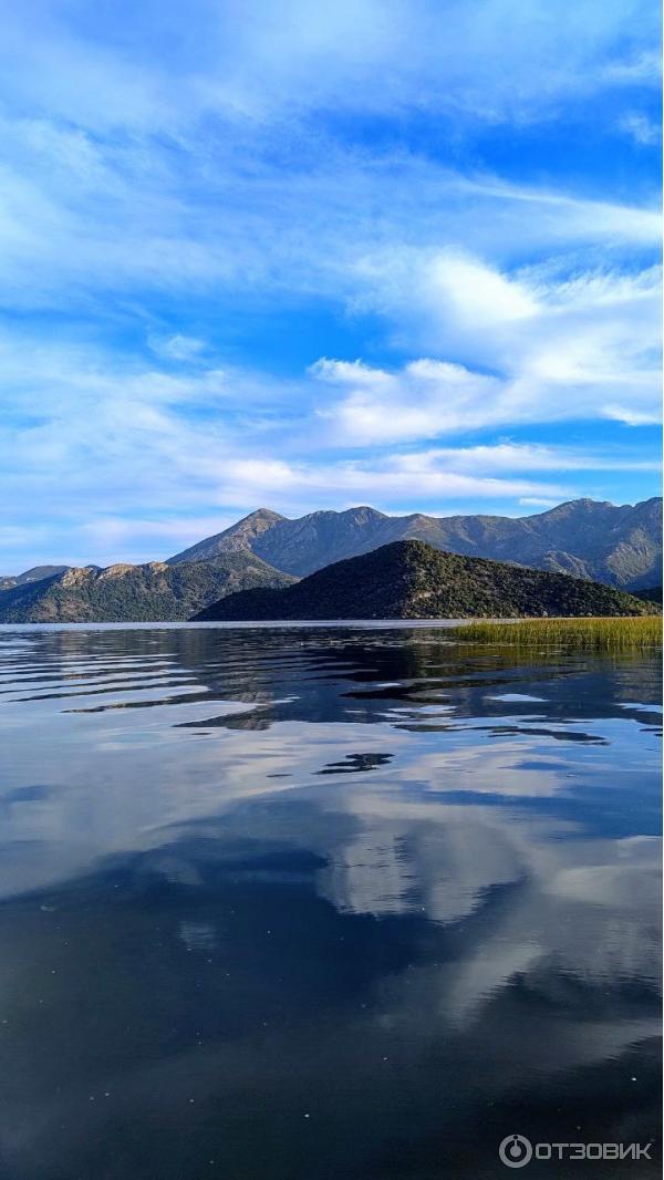 Скадарское озеро (Черногория) фото