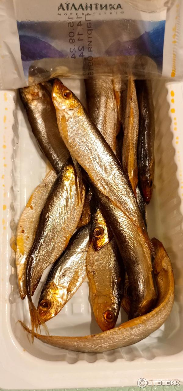Отзыв о Килька холодного копчения Атлантика | Очень вкусные малыши и ...