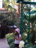 Поселок Рыбачье (Крым) фото