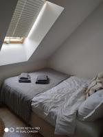 Отдых в Калининграде (Россия, Калининградская область) фото