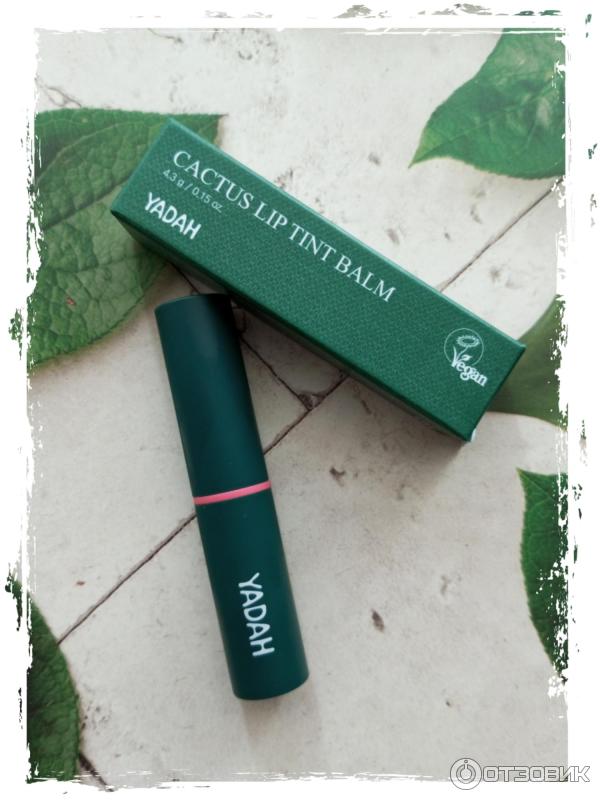 Бальзам тинт. Yadah cactus lip tint balm 02. Yadah cactus lip tint balm. Yadah cactus lip tint balm. Yadah be my tint.