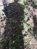 Отдых в Приморье (Россия) фото