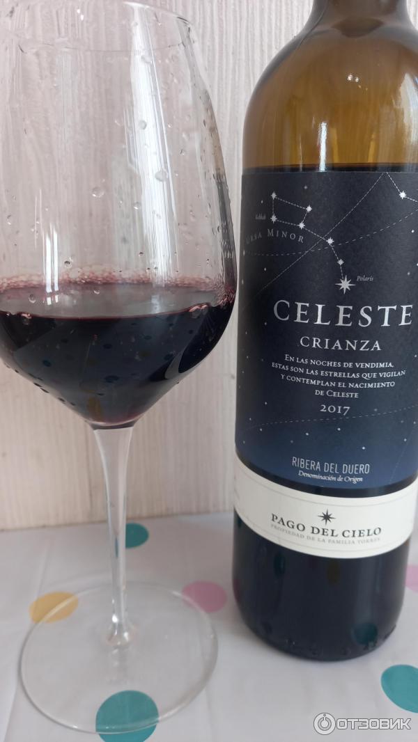 Красное сухое вино Torres Celeste Crianza фото