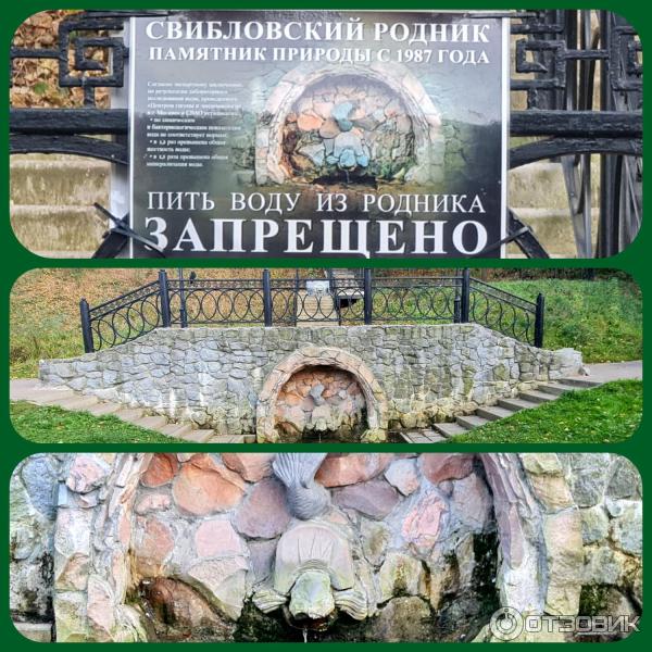 �������� Vermodje ������: ����.