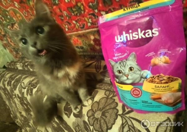 Корм Whiskas Для кастрированных котов и стерилизованных кошек фото