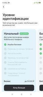 Платежная система Яндекс. Пэй фото