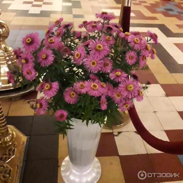 Собор Петра и Павла в Петергофе (Россия, Санкт-Петербург) фото