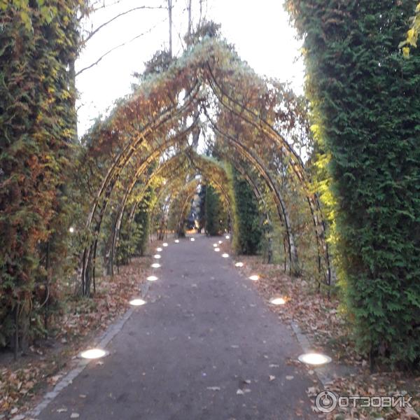 Собор Петра и Павла в Петергофе (Россия, Санкт-Петербург) фото