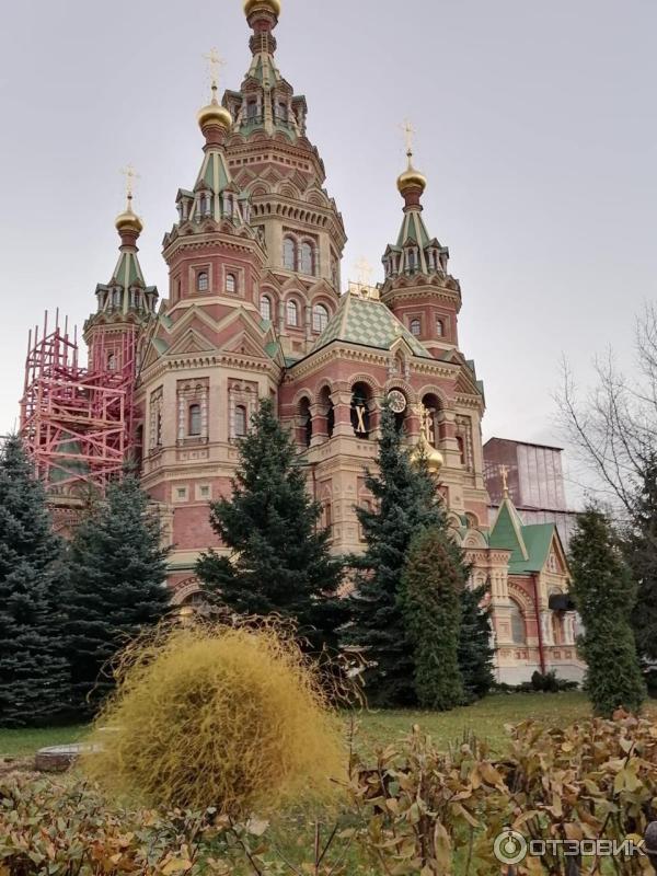Собор Петра и Павла в Петергофе (Россия, Санкт-Петербург) фото